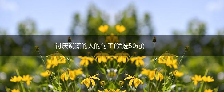 讨厌说谎的人的句子(优选50句),第1张