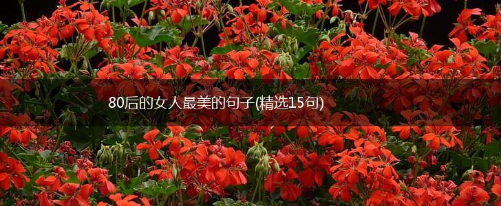 80后的女人最美的句子(精选15句),第1张