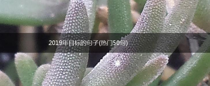 2019年目标的句子(热门50句),第1张