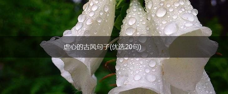 虐心的古风句子(优选20句),第1张
