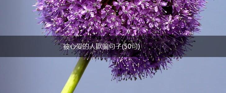被心爱的人欺骗句子(50句),第1张