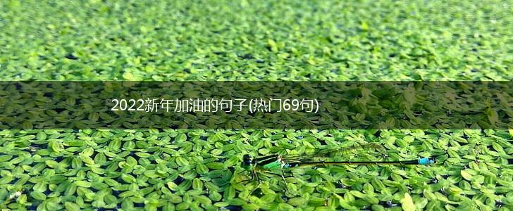 2022新年加油的句子(热门69句),第1张