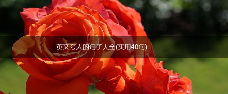 英文夸人的句子大全(实用40句),第1张