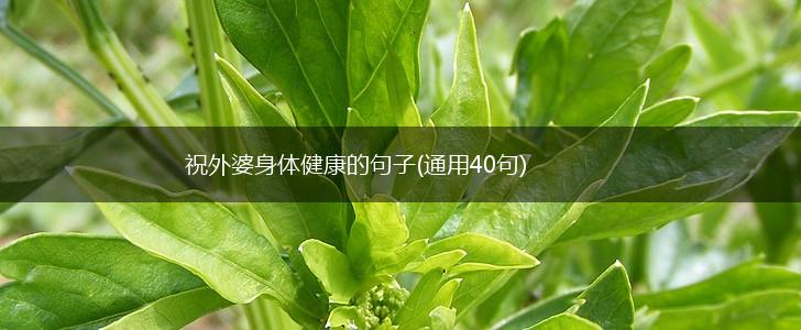 祝外婆身体健康的句子(通用40句),第1张