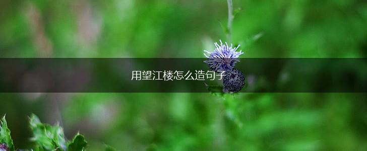 用望江楼怎么造句子,第1张