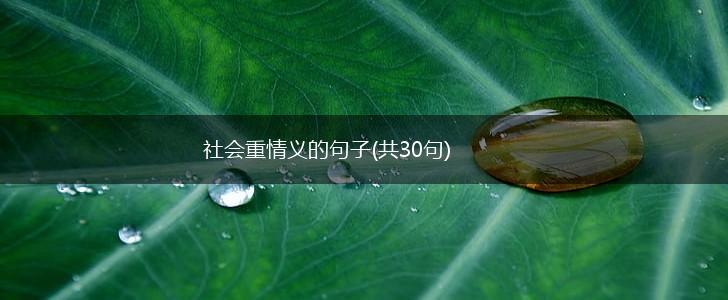社会重情义的句子(共30句),第1张