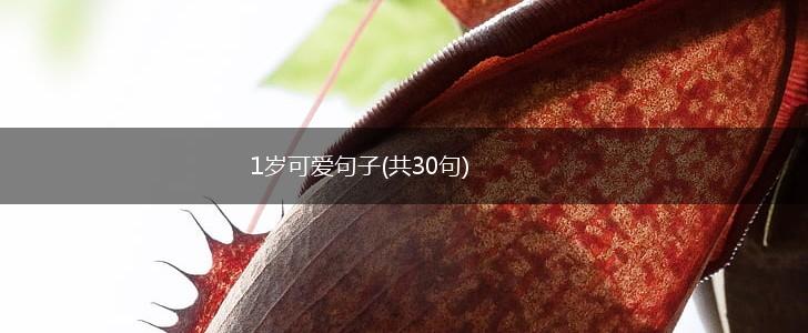 1岁可爱句子(共30句),第1张