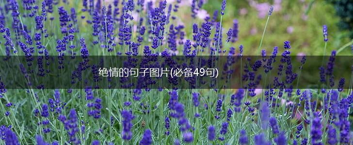 绝情的句子图片(必备49句),第1张