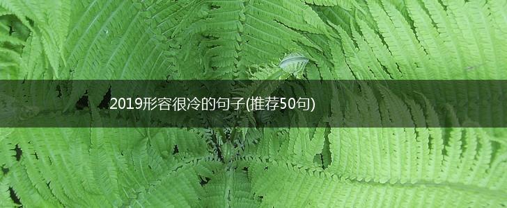 2019形容很冷的句子(推荐50句),第1张