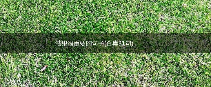 结果很重要的句子(合集31句),第1张
