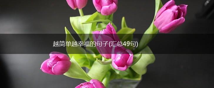 越简单越幸福的句子(汇总49句),第1张