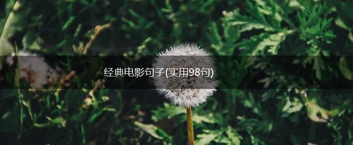 经典电影句子(实用98句),第1张