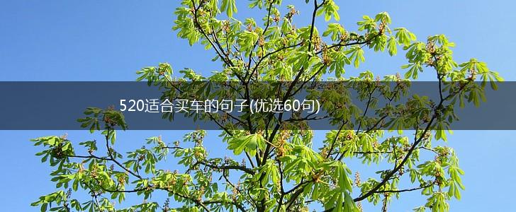 520适合买车的句子(优选60句),第1张