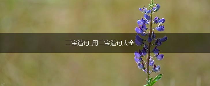 二宝造句_用二宝造句大全,第1张