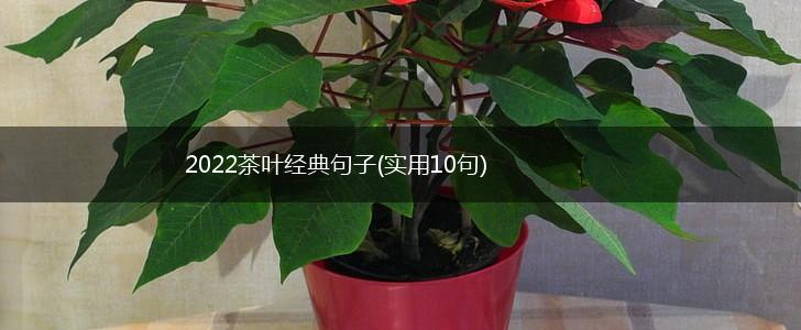 2022茶叶经典句子(实用10句),第1张