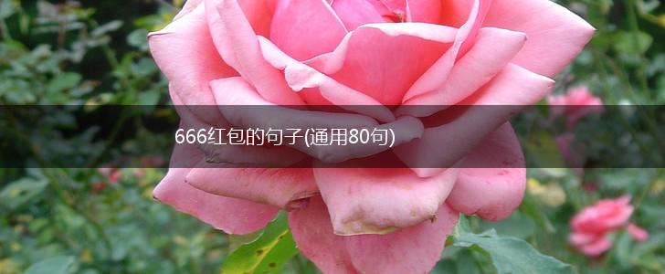 666红包的句子(通用80句),第1张