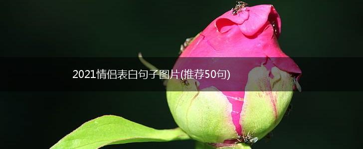 2021情侣表白句子图片(推荐50句),第1张