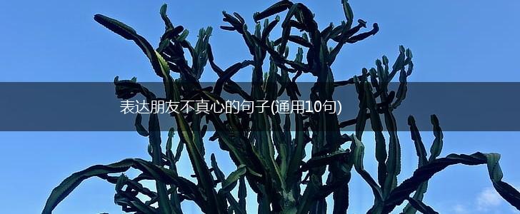 表达朋友不真心的句子(通用10句),第1张