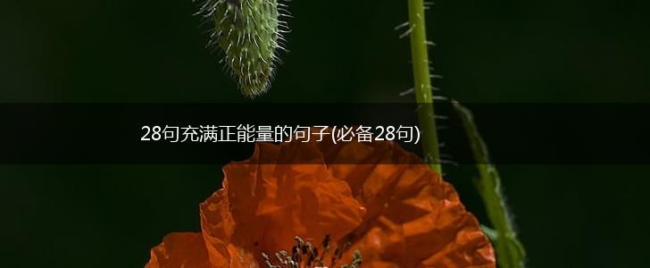 28句充满正能量的句子(必备28句),第1张