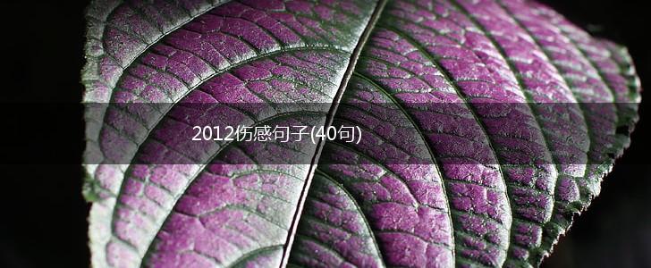 2012伤感句子(40句),第1张