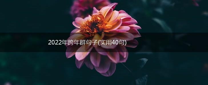 2022年跨年群句子(实用40句),第1张