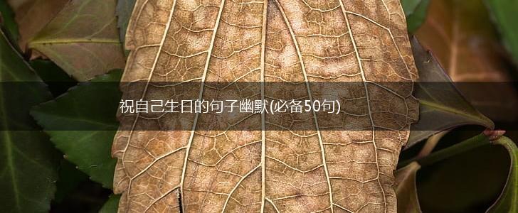 祝自己生日的句子幽默(必备50句),第1张