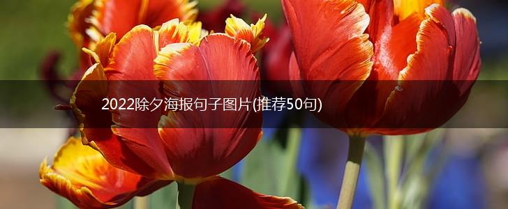 2022除夕海报句子图片(推荐50句),第1张