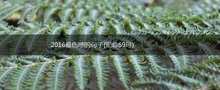 2016最伤感的句子(汇总69句),第1张