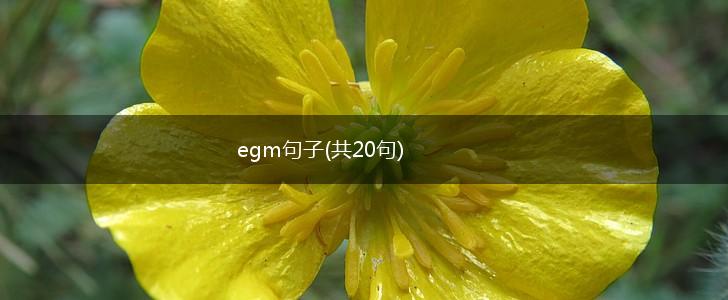 egm句子(共20句),第1张