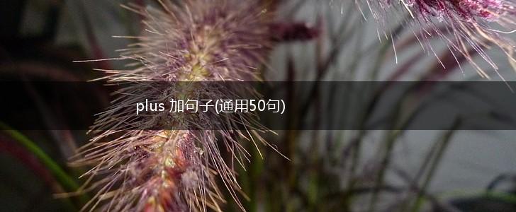 plus 加句子(通用50句),第1张