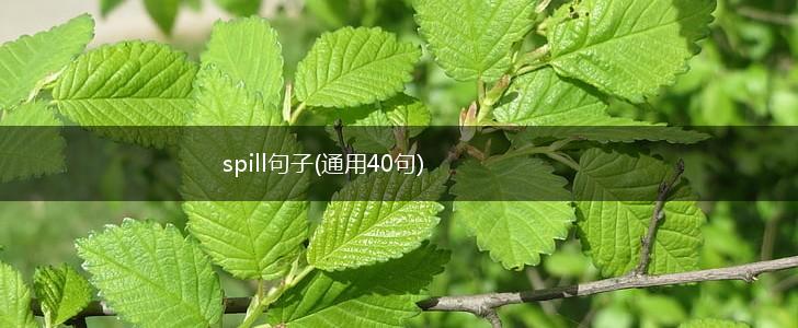 spill句子(通用40句),第1张