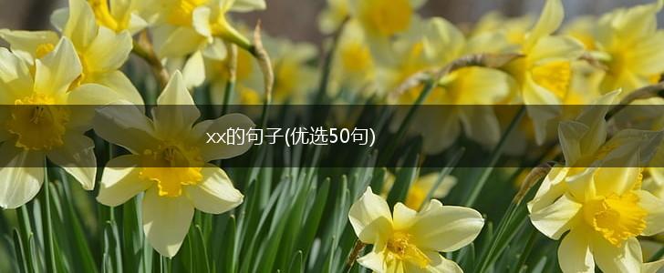xx的句子(优选50句),第1张