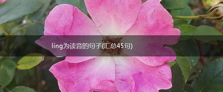 ling为读音的句子(汇总45句),第1张