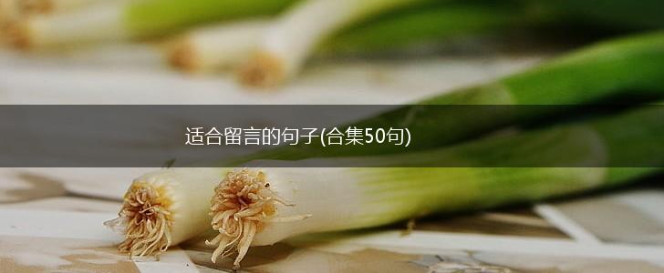 适合留言的句子(合集50句),第1张
