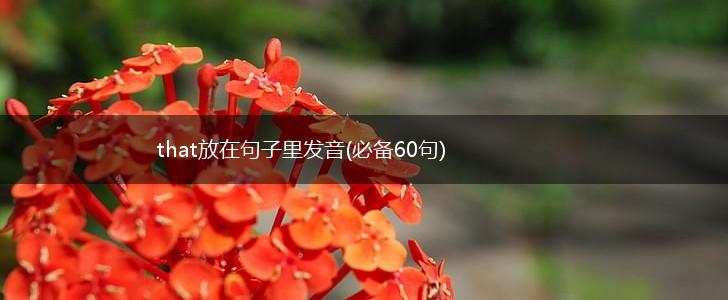 that放在句子里发音(必备60句),第1张