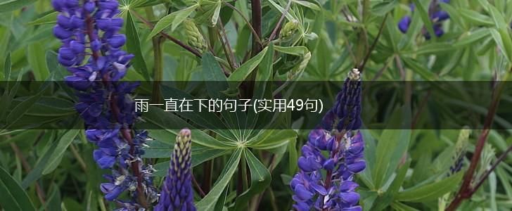 雨一直在下的句子(实用49句),第1张