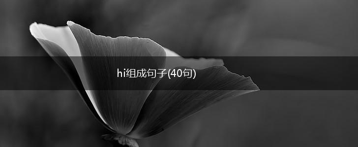 hi组成句子(40句),第1张