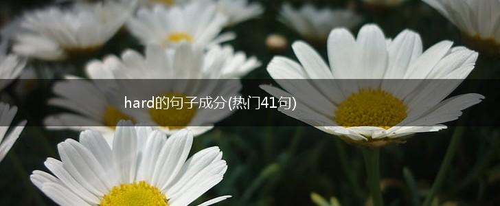 hard的句子成分(热门41句),第1张