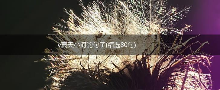 v夏天小河的句子(精选80句),第1张
