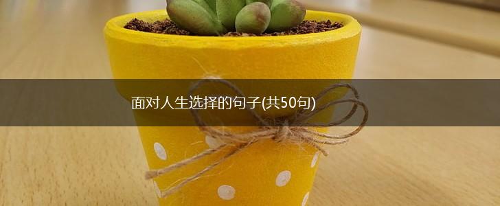 面对人生选择的句子(共50句),第1张