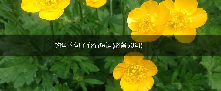 钓鱼的句子心情短语(必备50句),第1张