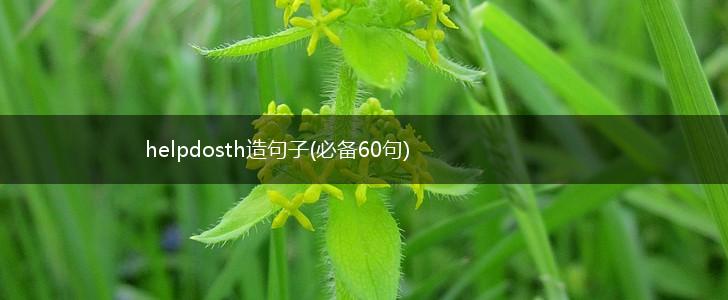 helpdosth造句子(必备60句),第1张