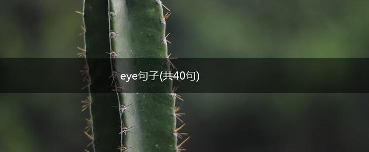 eye句子(共40句),第1张