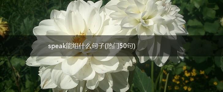 speak能组什么句子(热门50句),第1张