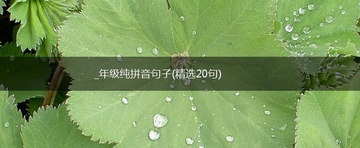 _年级纯拼音句子(精选20句),第1张