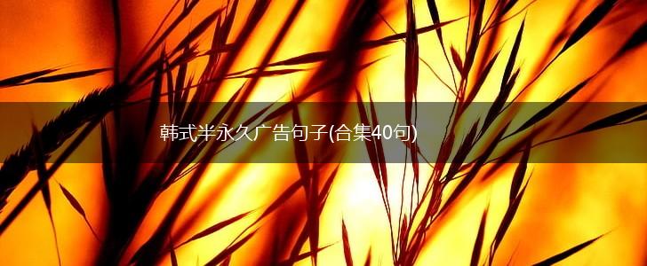 韩式半永久广告句子(合集40句),第1张
