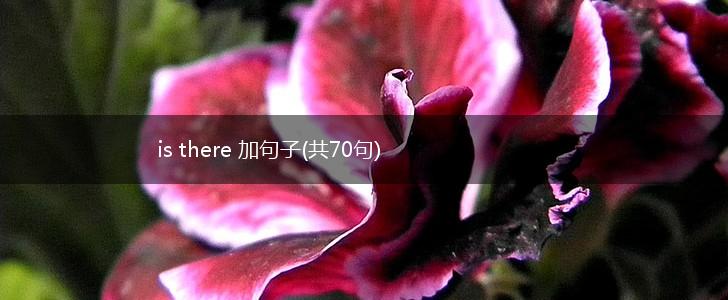 is there 加句子(共70句),第1张