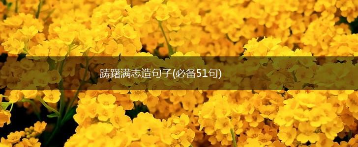 踌躇满志造句子(必备51句),第1张