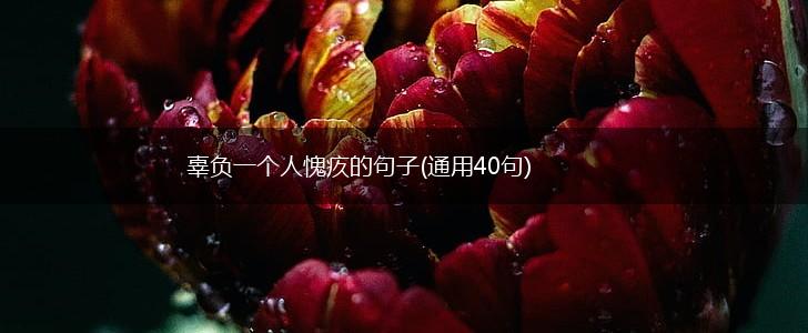 辜负一个人愧疚的句子(通用40句),第1张