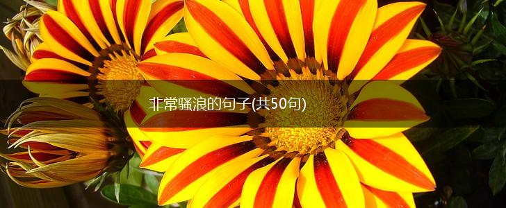 非常骚浪的句子(共50句),第1张